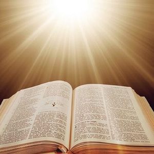 Meet your Posher, Erick